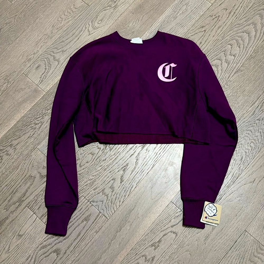NEW WITH TAGS Purple champion crop sweater